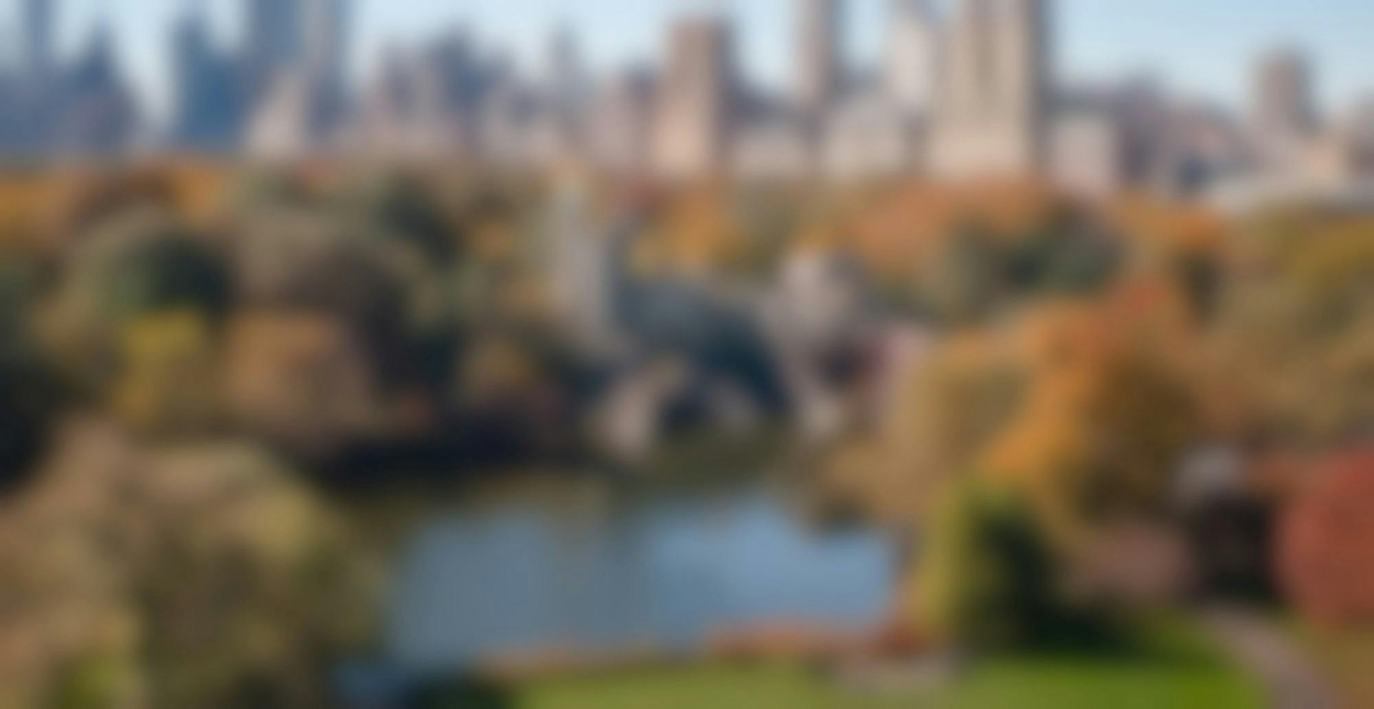 view of Belvedere castle and the new york city skyline from Central Park